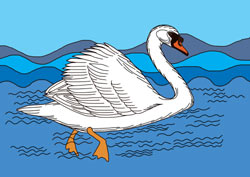 Malvorlage für einen Schwan