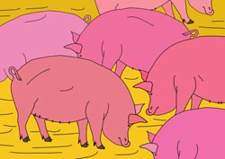Malvorlage Schweine