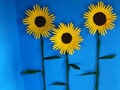 Sonnenblumen