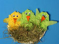 Vogelnest