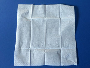 Basteln mit Taschentüchern