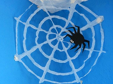 Spinnennetz mit Spinne