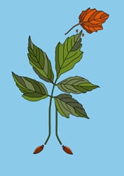 Malvorlage für den Herbst