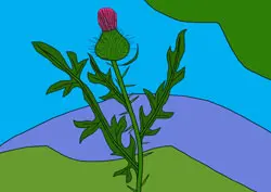 Ausmalbilder Distel