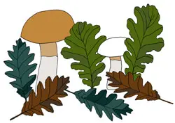 Malvorlage Blätter & Pilze