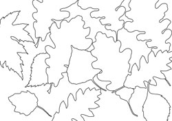Ausmalbilder Herbst Basteln Gestalten