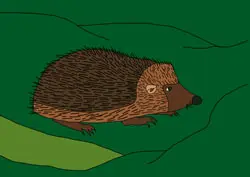 Ausmalbilder Igel