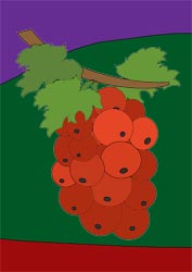 Ausmalbilder Johannisbeere