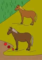 Malvorlagen - Pferde