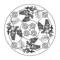 Mandalas für Kinder