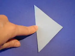 Schritt 2: Origami falten