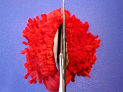 Pompon